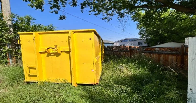 bin rental same day