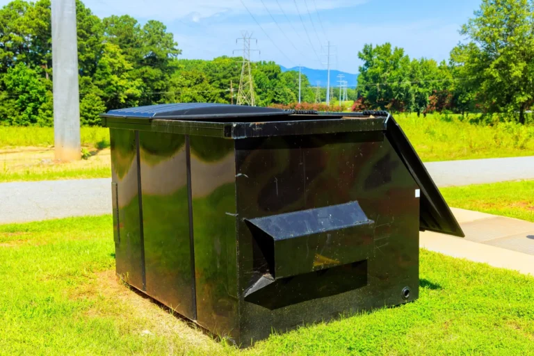 dumpster and bin rentals, including size, terminology, and use cases for Edmonton projects.